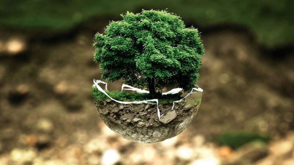 environmental protection, environment, the atmosphere, fragile, surreal, tree, nature, natural reserve, sensitive, forest dieback, forests, leaves, grow, green good, ecology, eco, bio, glass sphere, forest, green, organic, life, earth, tree protection, biology, ecological balance, environmental pollution, bonsai, deciduous tree, tree die, environmental protection, environment, environment, environment, environment, tree, tree, forest, life, earth, earth, earth, earth, earth