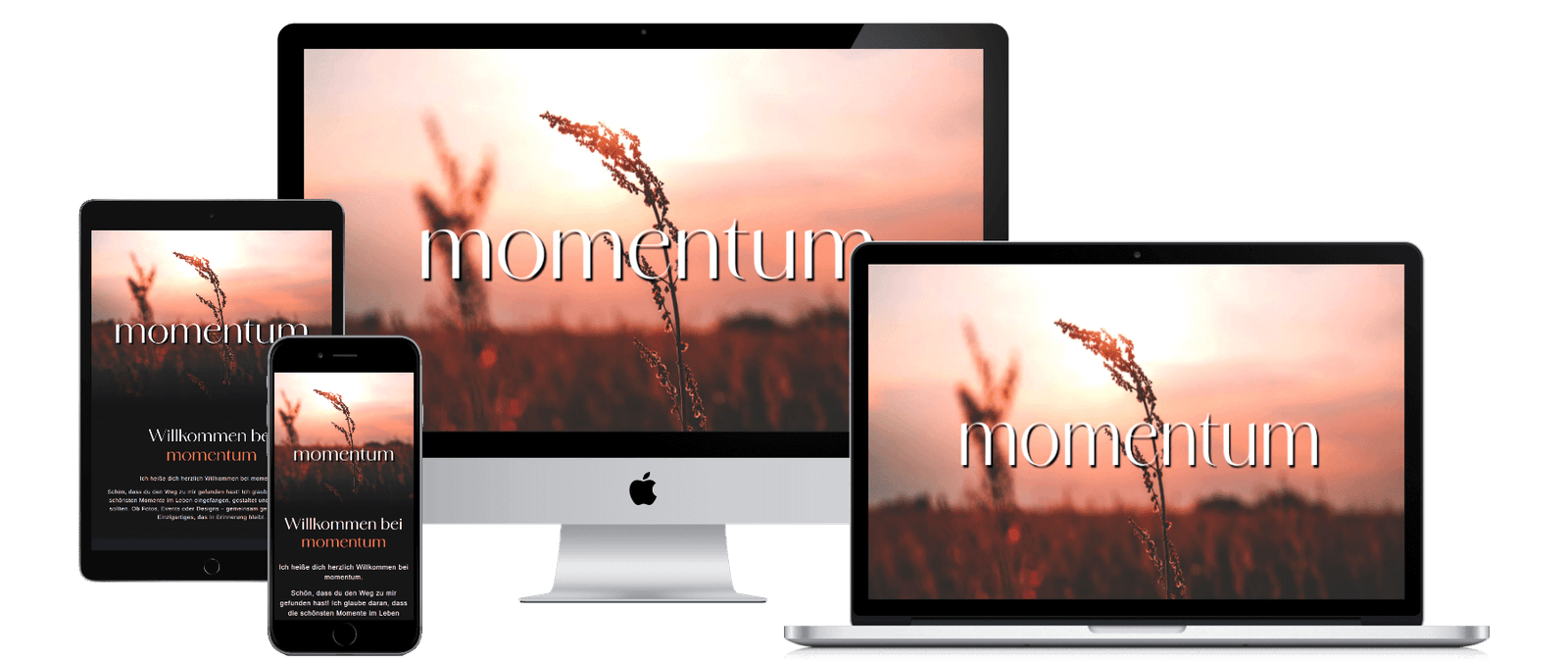 preview momentum sk website preview momentum sk website